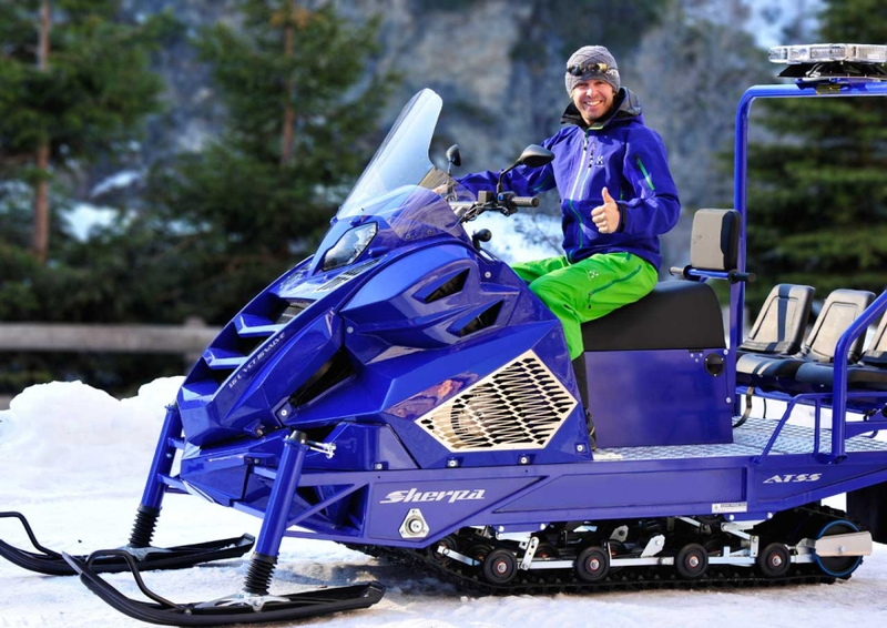 Illustration for article titled So this is a Fiesta powered snowmobile.